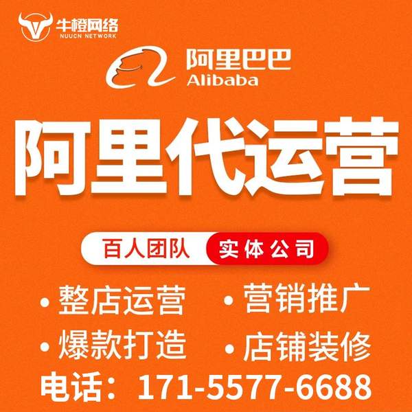 招远电商代运营
