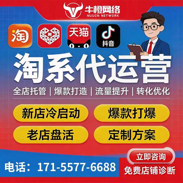 招远电商代运营