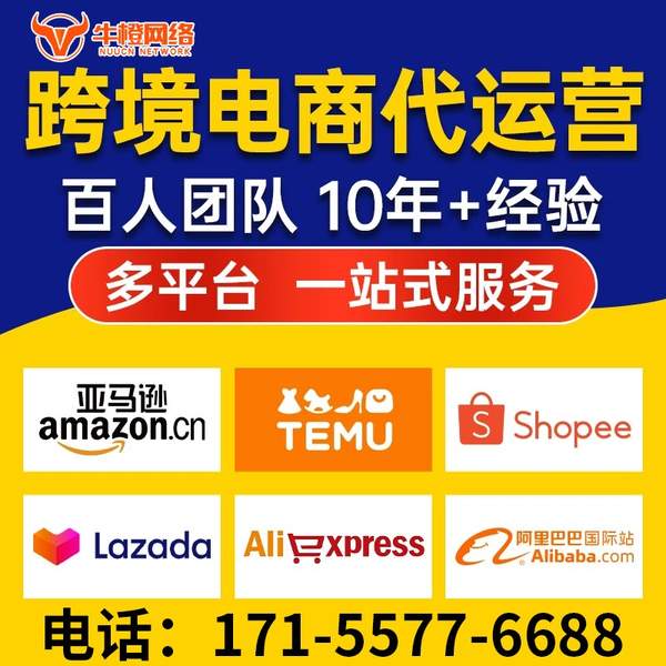 招远电商代运营