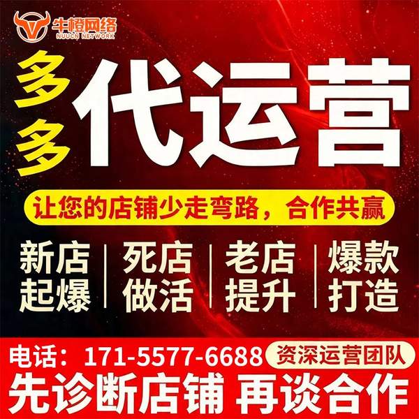 招远电商代运营