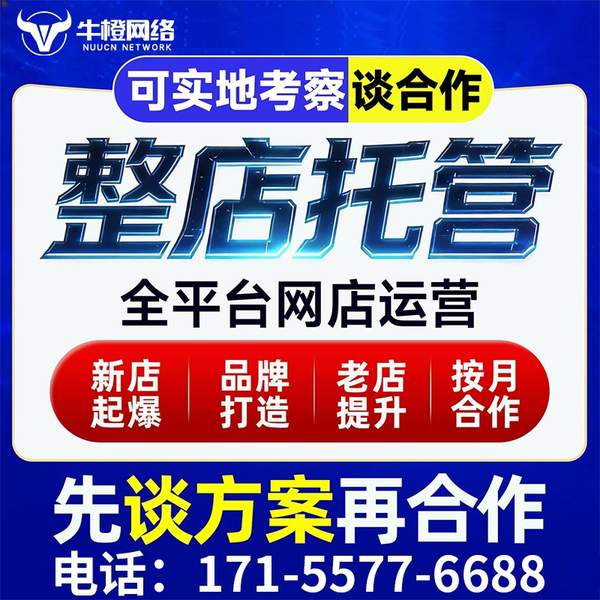 招远电商代运营