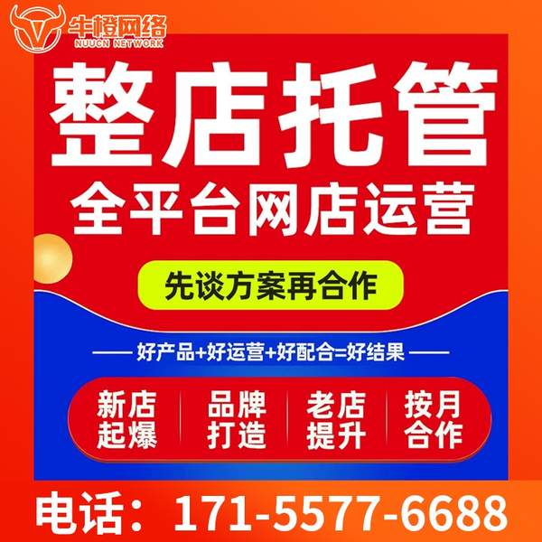 招远电商代运营