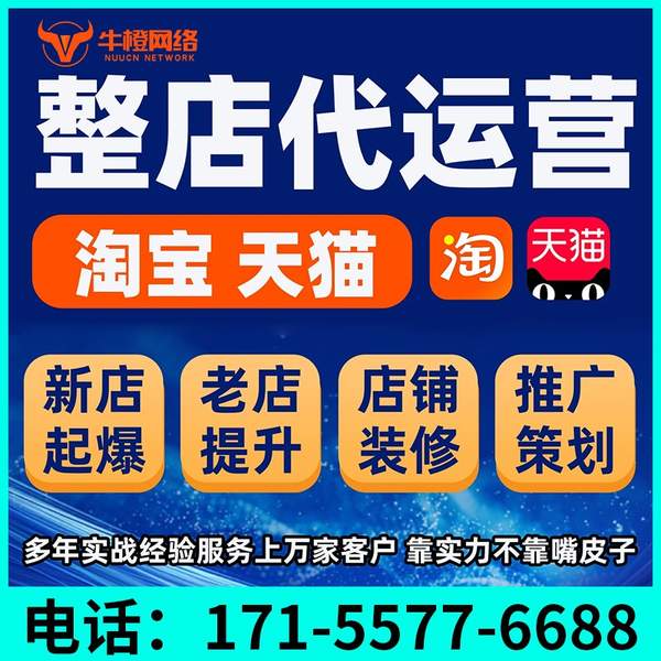 招远电商代运营