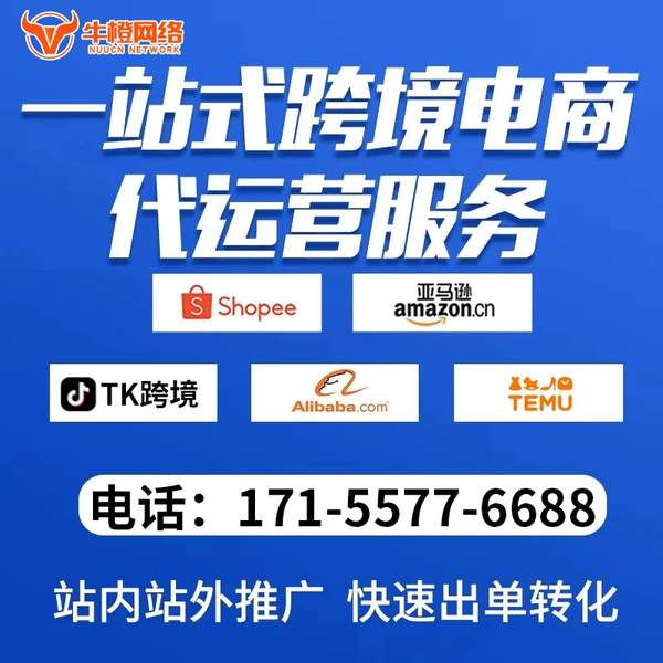 招远电商代运营