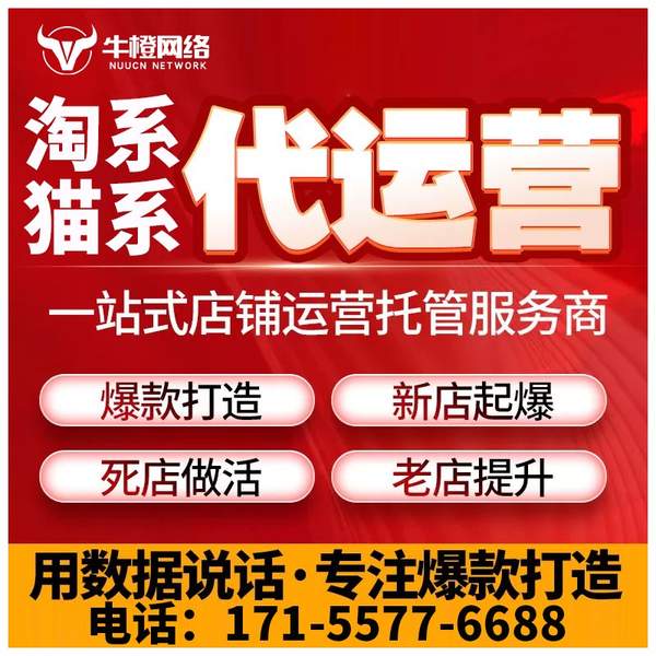 招远电商代运营